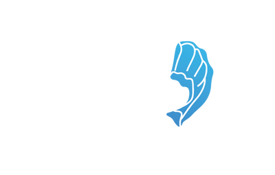 logo la crevette bleue